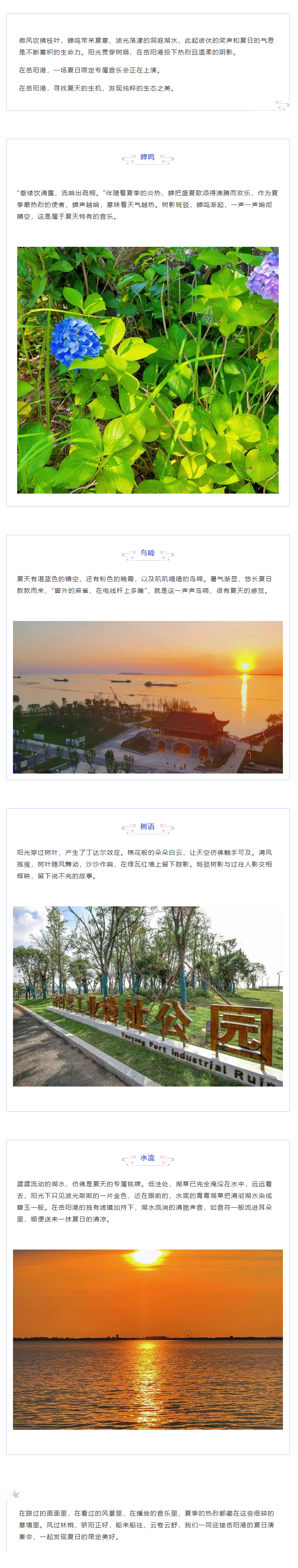 【夏日演奏會】在岳陽港，聆聽夏天的聲音.png